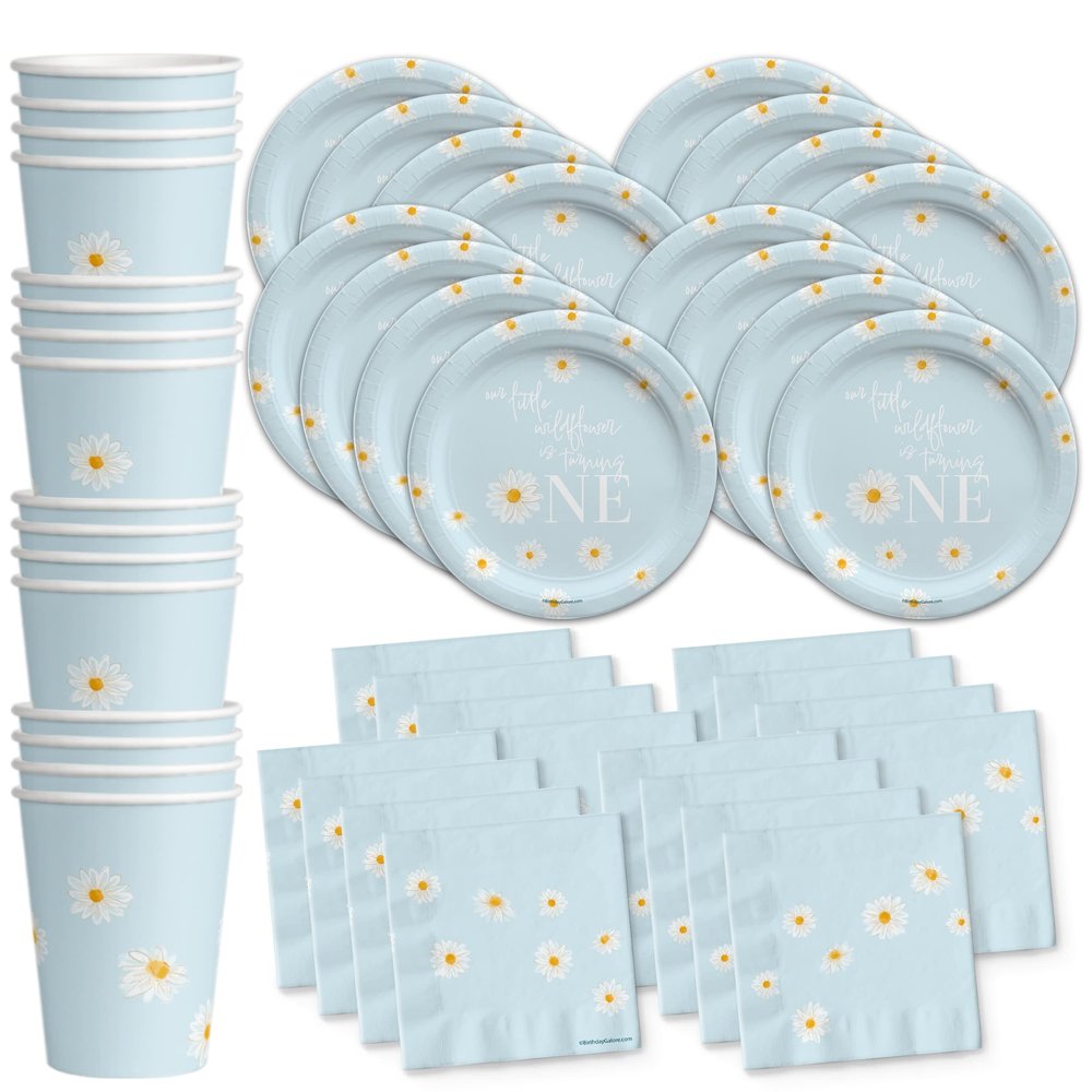 Daisy Birthday Supplies - Groovy Birthday - Little Wildflower Turning One 1st Birthday Party Supplies Set Plates Cups and Napkins Tableware Kit for 16