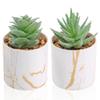 Der Rose Set of 2 Succulents Plants Artificial Mini Fake Succulents Plants for Home Office Desk Accessories for Women view 1
