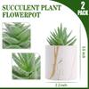 Der Rose Set of 2 Succulents Plants Artificial Mini Fake Succulents Plants for Home Office Desk Accessories for Women view 2