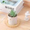 Der Rose Set of 2 Succulents Plants Artificial Mini Fake Succulents Plants for Home Office Desk Accessories for Women view 3