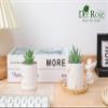 Der Rose Set of 2 Succulents Plants Artificial Mini Fake Succulents Plants for Home Office Desk Accessories for Women view 4