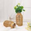 2PCS Rustic Glass Flower Bud Vase,Large Vase Clear Flower Vase,Farmhouse Decorative Dried Flower Vase,Decorative Floral Container Glass Pot view 4