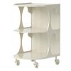 Acrylic Trolley, 3-Tier Acrylic Slim Slide Out Storage Rolling cart, 40x53x56cm, 13 Colors, PC Plastic Material, Open Storage, Easy to Move, Suitable for Living Room and Bedroom view 1