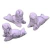 HXSCOO 40mm Sea Lion Figures Natural Stones Ocean Animal Statue Healing Crystal Quartz Carved Figurine Room Ornaments Childrens Gift (Color : White Turquoise, Size : 3 PCS) view 1