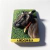 3D Andorra Fridge Magnet Souvenir Gift,Resin Handmade Andorra Refrigerator Magnet Home & Kitchen Decoration Collection view 2