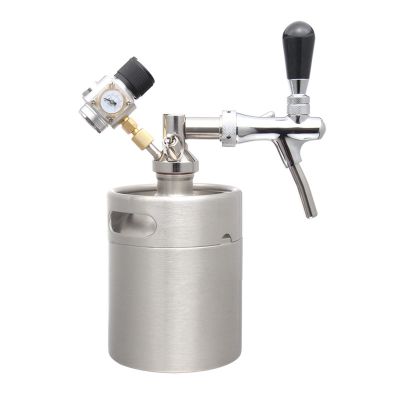 RGWYGCG Portable Draft Keg System Stainless Steel Keg Mini Keg Draft System Stainless Steel Portable Mini Keg Dispenser Pressure Regulator Craft Beer Draft Home Brew,2L