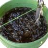 Worm Brew - Compost Tea & Worm Casting Tea Brewer - 5 Gallon Bucket Aerator (D10) view 2