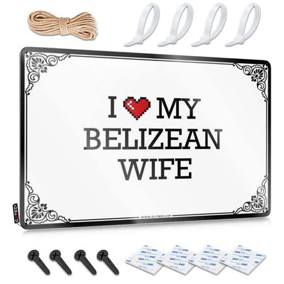 Abipuir Garage Tin Sign I Love My Belizean Wife Tin Sign Playroom Furniture Basement Decor (Color : Colour, Size : 20X30CM)