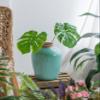 A&B Home Decorative Blue Ceramic Flower Vase, Home Decor Accent with Round Design, for Living Room Kitchen Entryway Tabletop Countertop Mantel, 9" x 9" x 13" view 2