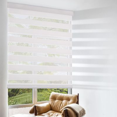 Cordless Zebra Blinds for Windows, Custom Size Zebra Roller Window Blinds, Dual Layer Light Filtering Zebra Roller Shades, Window Blinds for Home, Office, Kitchen, Bathroom 32 * 48in (W*H),White