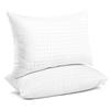 EIUE 2 Pack Queen Size Bed Pillows for Sleeping,Super Soft Down Alternative Microfiber Filled Pillows,20 x 30 Inches,White view 1
