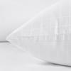 EIUE 2 Pack Queen Size Bed Pillows for Sleeping,Super Soft Down Alternative Microfiber Filled Pillows,20 x 30 Inches,White view 3