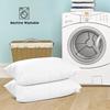 EIUE 2 Pack Queen Size Bed Pillows for Sleeping,Super Soft Down Alternative Microfiber Filled Pillows,20 x 30 Inches,White view 4