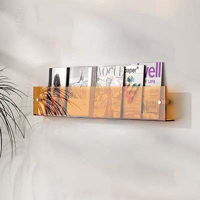 DAKAJA Gray Orange Clear Acrylic Magazine Holder, 40/50/60/70/80cm Long Wall Mounted Literature Display Stand, Shop Display/Trade Show Storage Rack (Color : Orange, Size : Length 100cm/39.4")