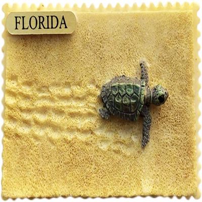 Florida USA Beach Florida Magnet Fridge Refrigerator Magnet Decoration Sticker Souvenir Resin Crafts Kitchen Whiteboard