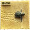 Florida USA Beach Florida Magnet Fridge Refrigerator Magnet Decoration Sticker Souvenir Resin Crafts Kitchen Whiteboard view 1