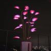 KAYKAI Mystical Glowing Potted Plants, Led Indoor Plants, Artificial Plants Glowing Potted Plants, Home Interior Decoration Bonsai Trees for Home Indoor Lighting (#1) view 3