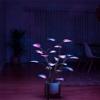 KAYKAI Mystical Glowing Potted Plants, Led Indoor Plants, Artificial Plants Glowing Potted Plants, Home Interior Decoration Bonsai Trees for Home Indoor Lighting (#1) view 4