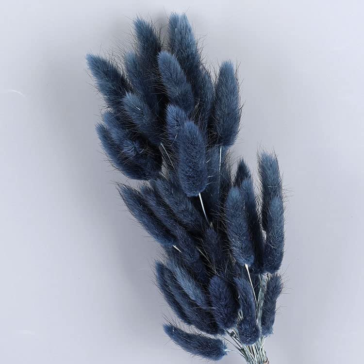60pcs 16'' Dried Bunny Tails Flowers Navy Blue Pampas Grass Natural Lagurus Ovatus Dried Floral Arrangement Dry Flowers for Boho Decor Home Wedding DIY Craft Decoration (Navy Blue)