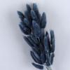 60pcs 16'' Dried Bunny Tails Flowers Navy Blue Pampas Grass Natural Lagurus Ovatus Dried Floral Arrangement Dry Flowers for Boho Decor Home Wedding DIY Craft Decoration (Navy Blue) view 1