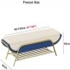 WEEAZ Premium Entryway Bench Shoe Storage Organizer,Modern Shoe Rack Bench with Storage Shelf,Faux Leather Upholstered,C,100X40X45Cm view 2