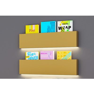 GRRICEPL 2pcs Magazine Holder Wall Mounted Office Home Living Room Storage Rack Hanging with Lighted Magazine Rack for Brochure Storage Organizer Display (Color : Gold, Size : 150cm)
