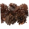 Homoyoyo 30pcs Plastic Imitation Pine Cone Plastic Pine Cone Decoration Christmas Decoration Props Resin Crafts Vase Decor Christmas Mini Pinecones Fake Pine Cone Scene Layout Prop Bulk view 1