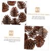 Homoyoyo 30pcs Plastic Imitation Pine Cone Plastic Pine Cone Decoration Christmas Decoration Props Resin Crafts Vase Decor Christmas Mini Pinecones Fake Pine Cone Scene Layout Prop Bulk view 4