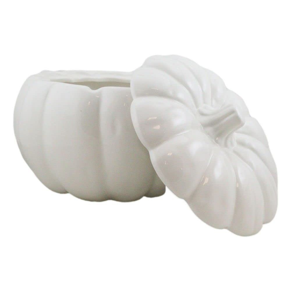 1 Pcs Of Ceramic Stoneware White Harvest Pumpkin Bowl With Lid 6"Diameter