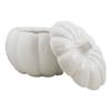 1 Pcs Of Ceramic Stoneware White Harvest Pumpkin Bowl With Lid 6"Diameter view 1