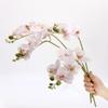 DODXIAOBEUL 4-Pcs Artificial Flowers Real Touch Latex Phalaenopsis 17.7inch Artificial Orchid Stem Bouquets for Wedding Party Home Garden Decor,Light Pink view 1