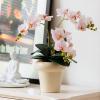 DODXIAOBEUL 4-Pcs Artificial Flowers Real Touch Latex Phalaenopsis 17.7inch Artificial Orchid Stem Bouquets for Wedding Party Home Garden Decor,Light Pink view 4