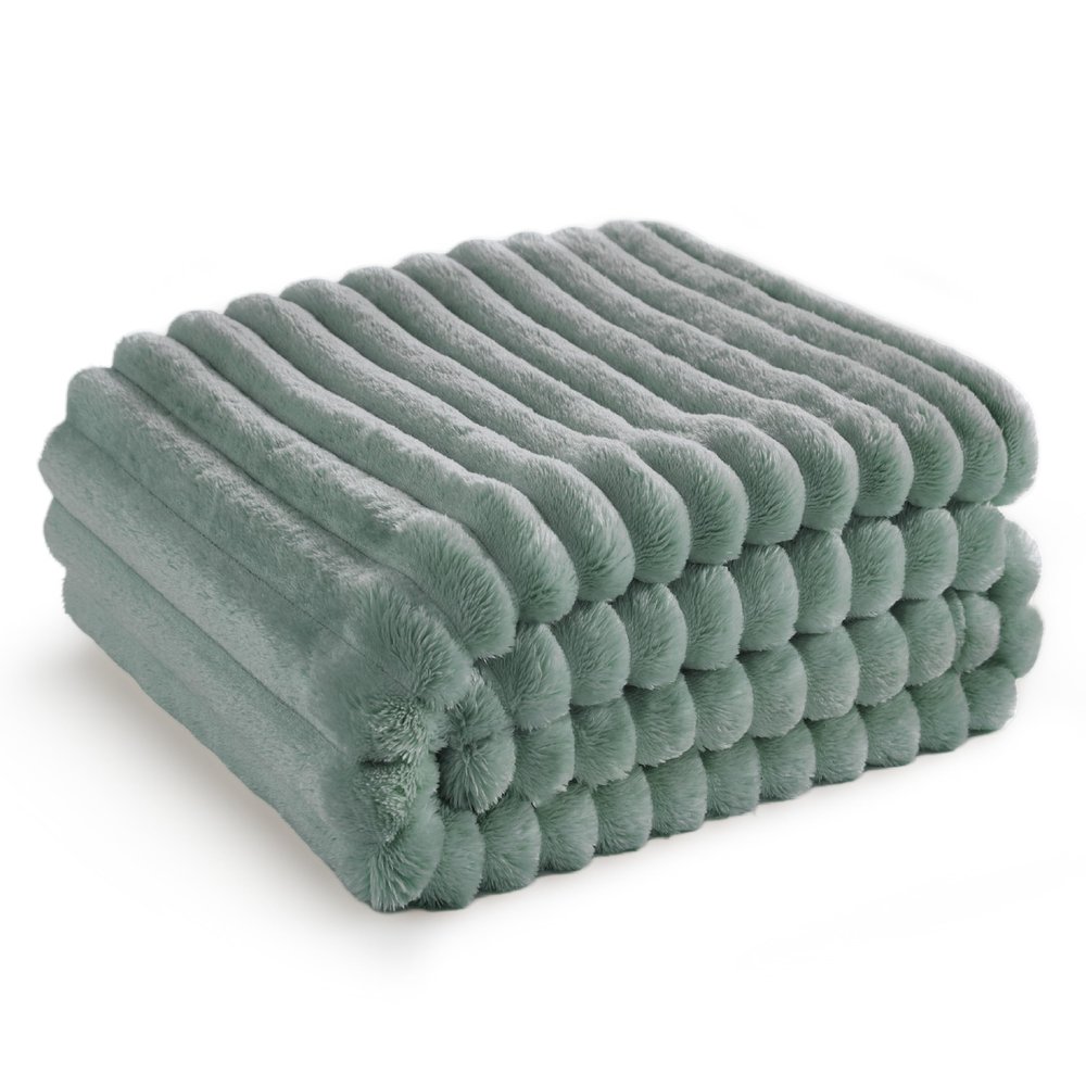 Bedsure GentleSoft Twin Blanket for Couch - Cozy Soft Blankets for Women, Cute Small Fleece Throws for Girls, Sage Green, 60x80 Inches
