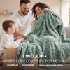 Bedsure GentleSoft Twin Blanket for Couch - Cozy Soft Blankets for Women, Cute Small Fleece Throws for Girls, Sage Green, 60x80 Inches view 2