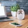 BESPORTBLE 1Pc Mini Desktop Trash Can with Shake Lid Cute and Compact Waste Container for Office Bedroom and Kitchen Design Lovely Decor for Any Space view 4
