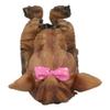 1 Pcs of Dog Wine Bottle Holder Figurine 10.5" Long Home Decor view 3