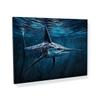 Sense Canvas Fish Detailed Texture 16 Canvas Art - Home Decor Wall Art Print Poster Painting Small 16x12 / 0.75" view 1