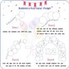412pcs Red Balloons 18 12 10 5 Inch Red Balloon Garland Arch Kit Different Sizes Matte Latex Balloons for Baby Shower Birthday Wedding Party Decorations view 3