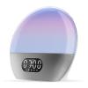 WiiM Wake-up Light, Alexa Built-in, Unlimited Sound Choices, All-in-One Sunrise Alarm Clock, Sound Machine, Sleep Routines and More - Polished Silver view 1