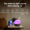 WiiM Wake-up Light, Alexa Built-in, Unlimited Sound Choices, All-in-One Sunrise Alarm Clock, Sound Machine, Sleep Routines and More - Polished Silver view 2