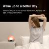 WiiM Wake-up Light, Alexa Built-in, Unlimited Sound Choices, All-in-One Sunrise Alarm Clock, Sound Machine, Sleep Routines and More - Polished Silver view 3