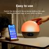 WiiM Wake-up Light, Alexa Built-in, Unlimited Sound Choices, All-in-One Sunrise Alarm Clock, Sound Machine, Sleep Routines and More - Polished Silver view 4