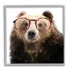 Stupell Industries Funny Grizzly Bear Wearing Glasses Framed Giclee Art, Design by Karen Smith view 1