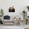 Stupell Industries Funny Grizzly Bear Wearing Glasses Framed Giclee Art, Design by Karen Smith view 2