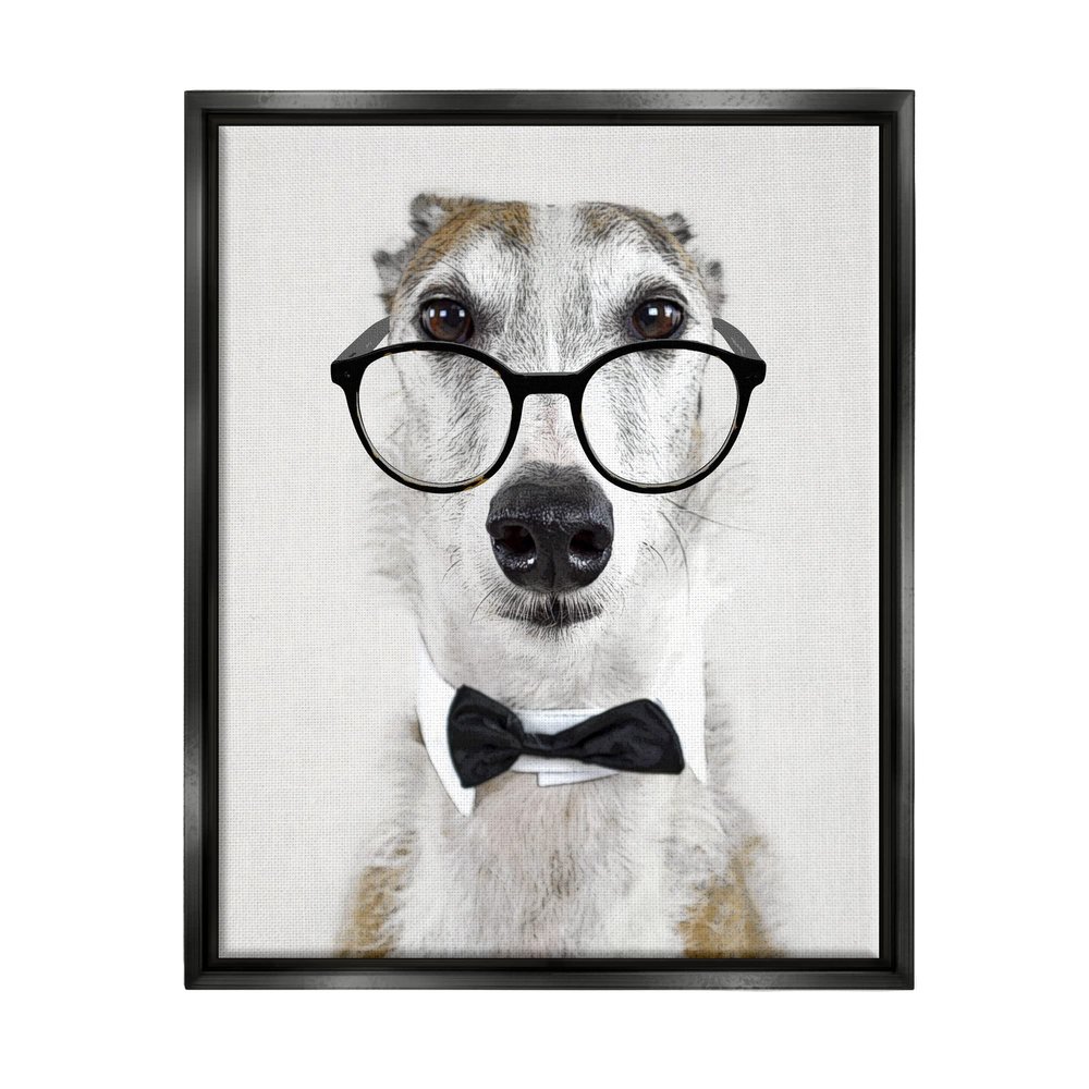 Stupell Industries Funny Dog Formal Bowtie Glasses Framed Floater Canvas Wall Art, Design by Karen Smith