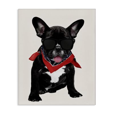 Stupell Industries 'Cool Dude French Bulldog Pet'| Canvas Art