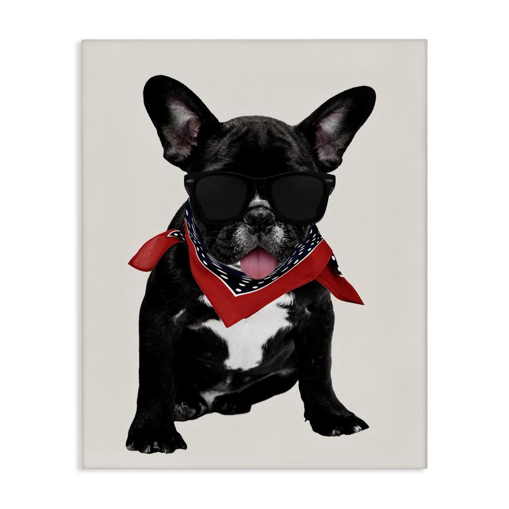 Stupell Industries 'Cool Dude French Bulldog Pet'| Canvas Art