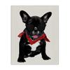 Stupell Industries 'Cool Dude French Bulldog Pet'| Canvas Art view 1