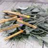 Personalized Marshmallow Roasting Sticks -Telescoping Smores Skewers with Wooden Handles - Extendable Hot Dog Forks for Campfire, Fire Pit & Bonfire - Custom Engraving Available (Yellow) view 3