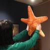 Beach Coastal Plush Pillow Simulation Seashell Starfish Conch Pillow Cushion 3D Shell Stuffed Plush Pillow Decorative Throw Pillow Sofa Couch Pillow for Beachy Room Decor view 4